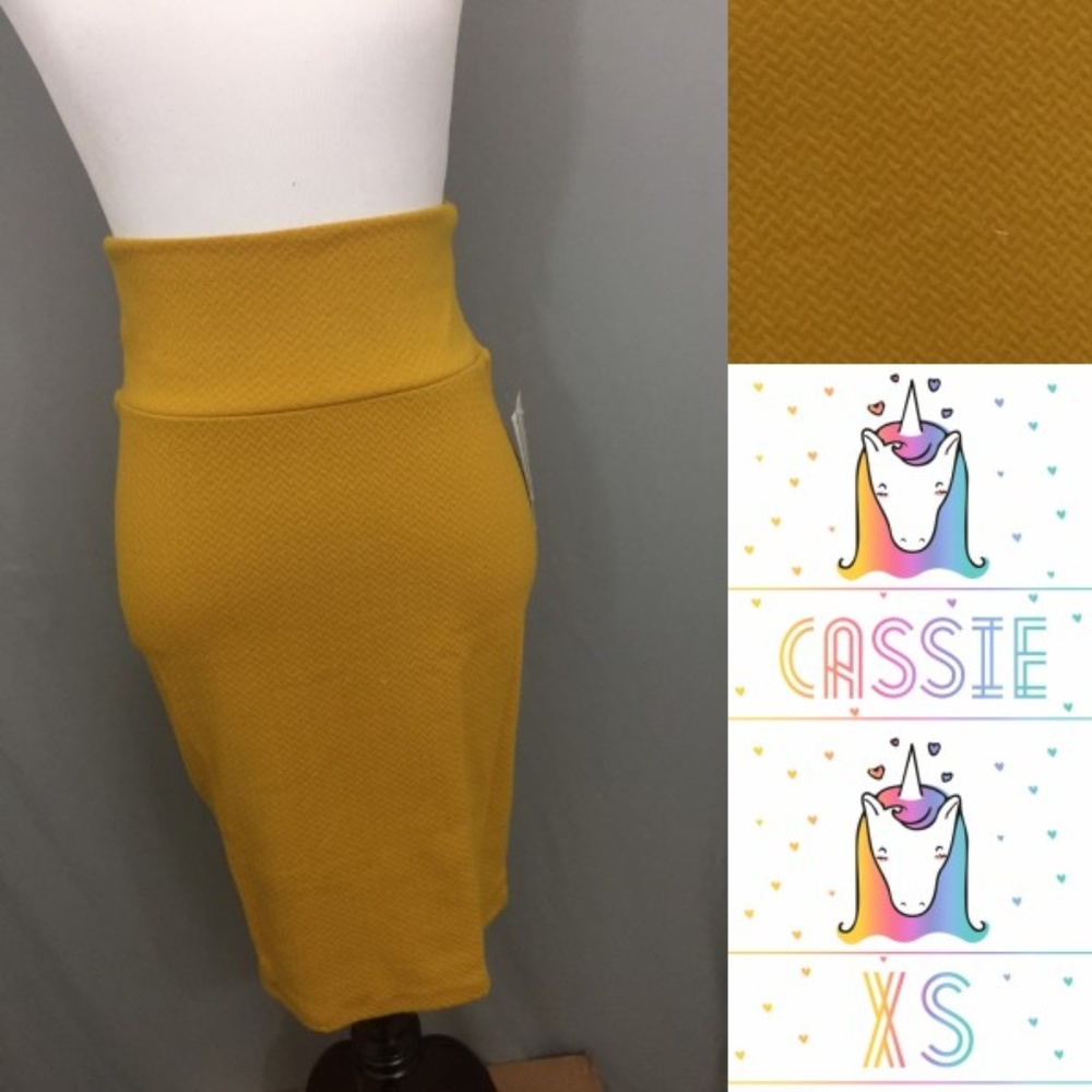 NWT LuLaRoe Cassie Skirt